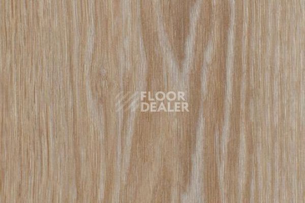 Виниловая плитка ПВХ FORBO Allura Wood 63413DR7-63413DR5 blond timber (50x15 cm) фото 1 | FLOORDEALER